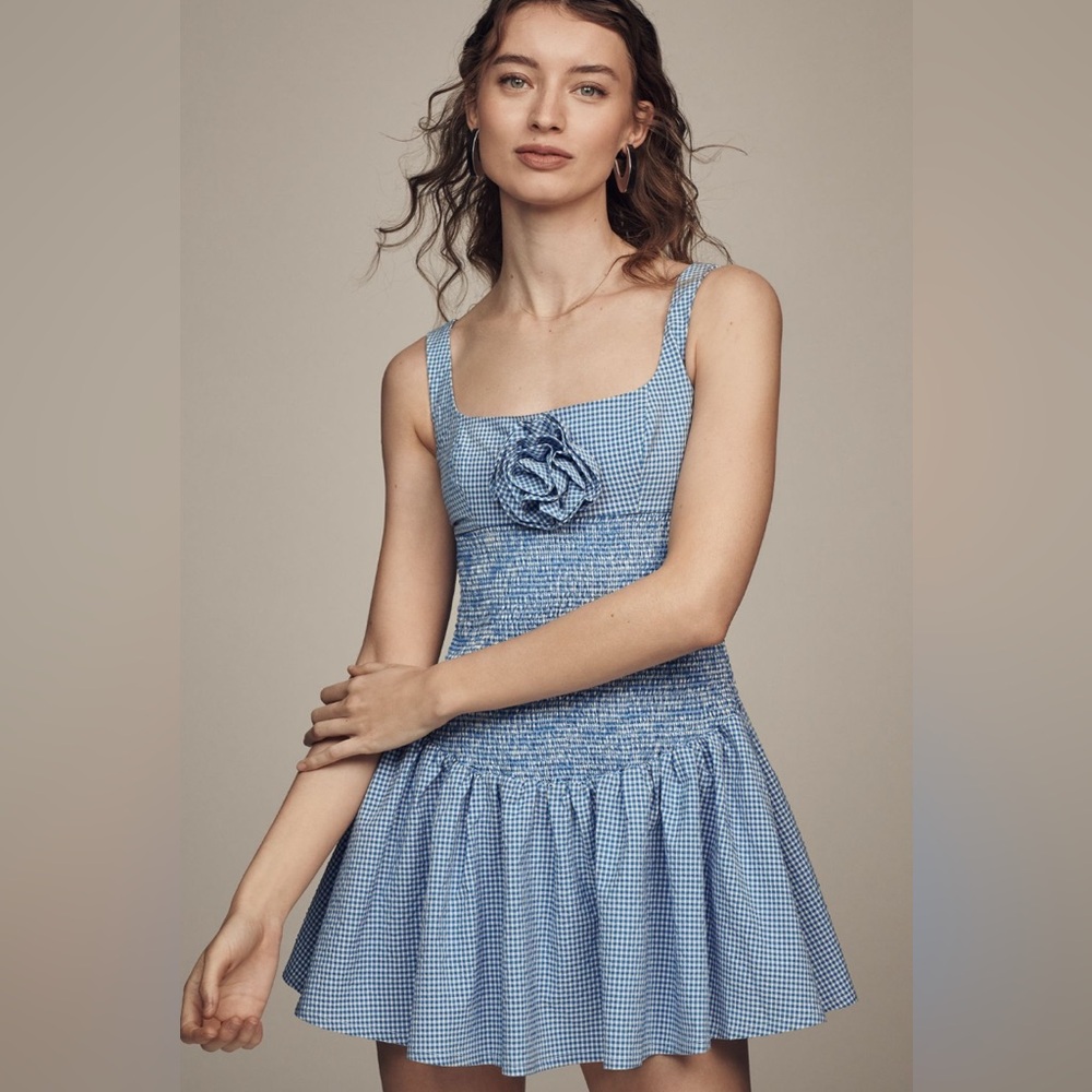 ✨ Anthropologie Smocked Rosette Drop-Waist Mini Dress Sz XL